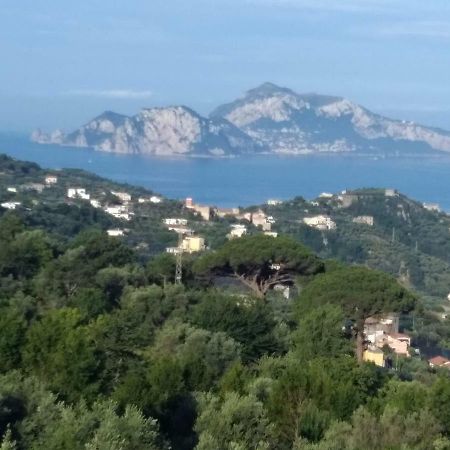 La Vista Sul Golfo Lejlighed Massa Lubrense Eksteriør billede