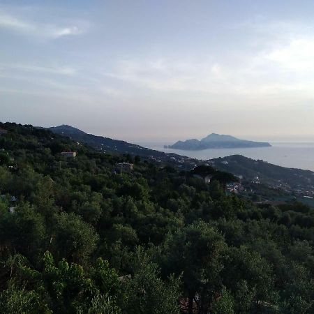 La Vista Sul Golfo Lejlighed Massa Lubrense Eksteriør billede