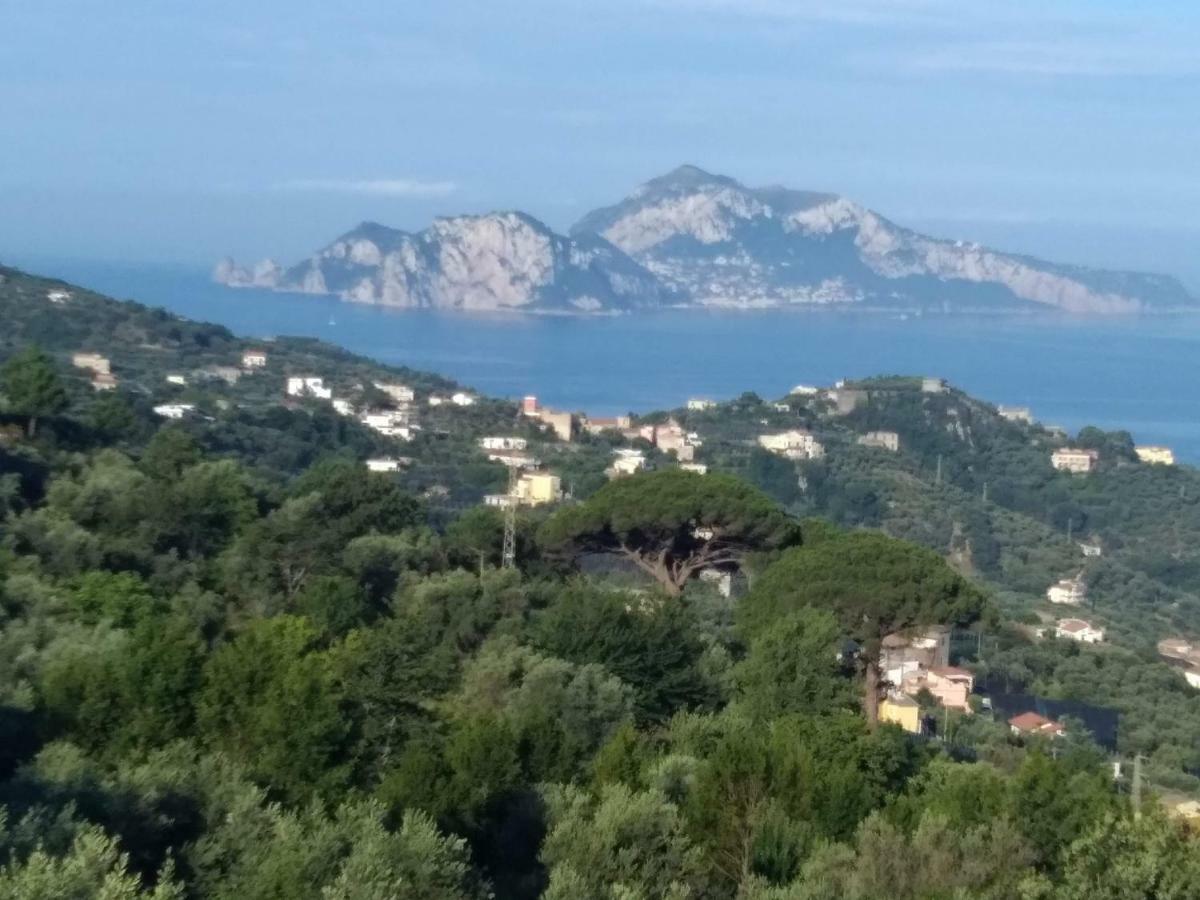 La Vista Sul Golfo Lejlighed Massa Lubrense Eksteriør billede