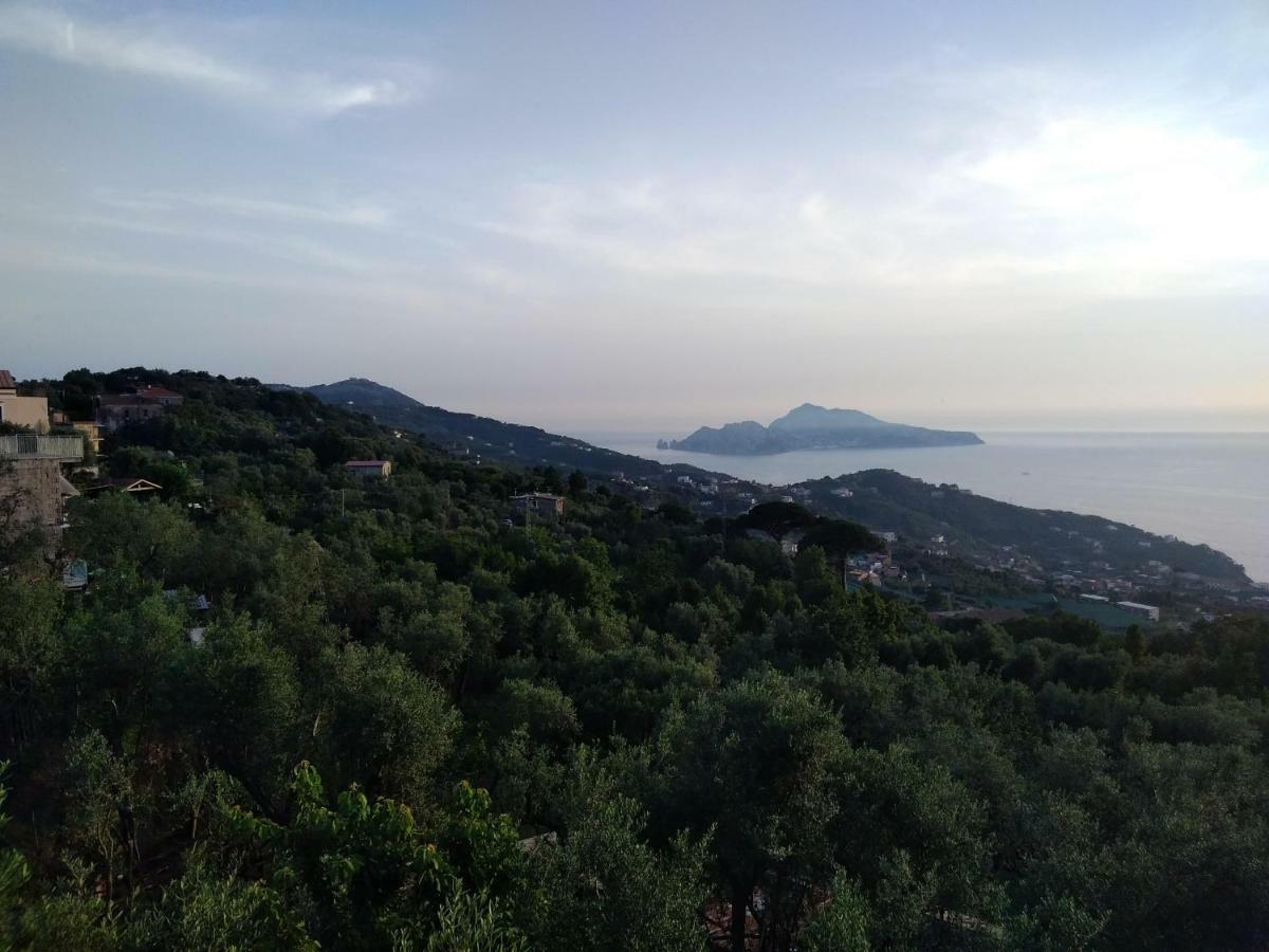 La Vista Sul Golfo Lejlighed Massa Lubrense Eksteriør billede