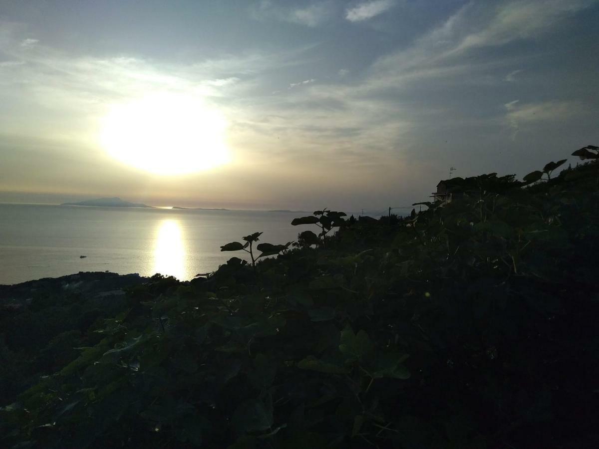 La Vista Sul Golfo Lejlighed Massa Lubrense Eksteriør billede